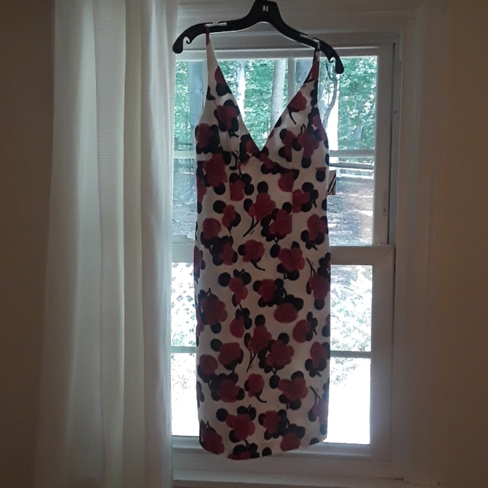 Beautiful Milly Dress